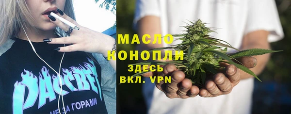 дживик Богородицк