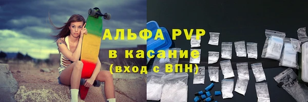 гидра Богородск