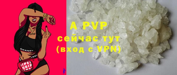 гидра Богданович