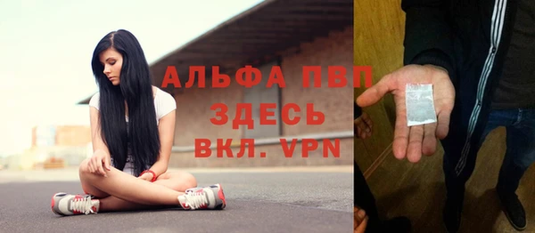 гидра Богданович