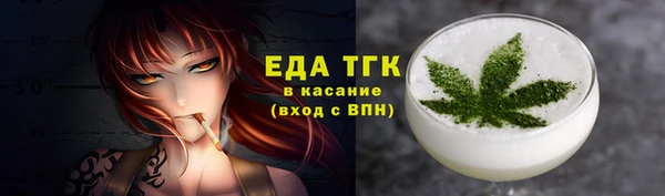 гидра Богородск