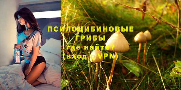 гидра Богданович