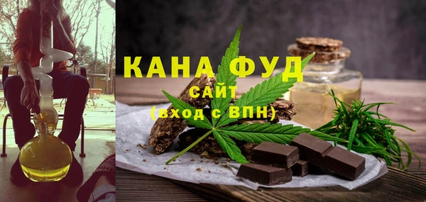 гидра Богородск