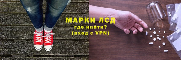 гидра Богданович