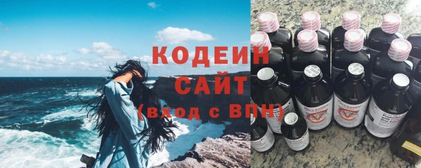 гидра Богданович