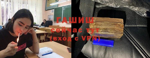 гидра Богородск